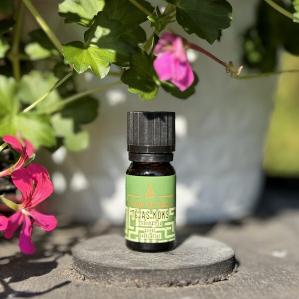 Tējas koka ēteriskā eļļa 10 ml